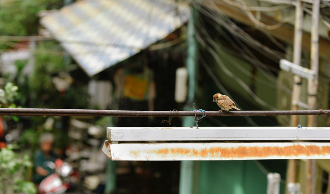 Exploring antique sight of Ho Chi Minh City's 100-year-old alley Exploring antique sight of Ho Chi Minh City's 100 year-old alley
