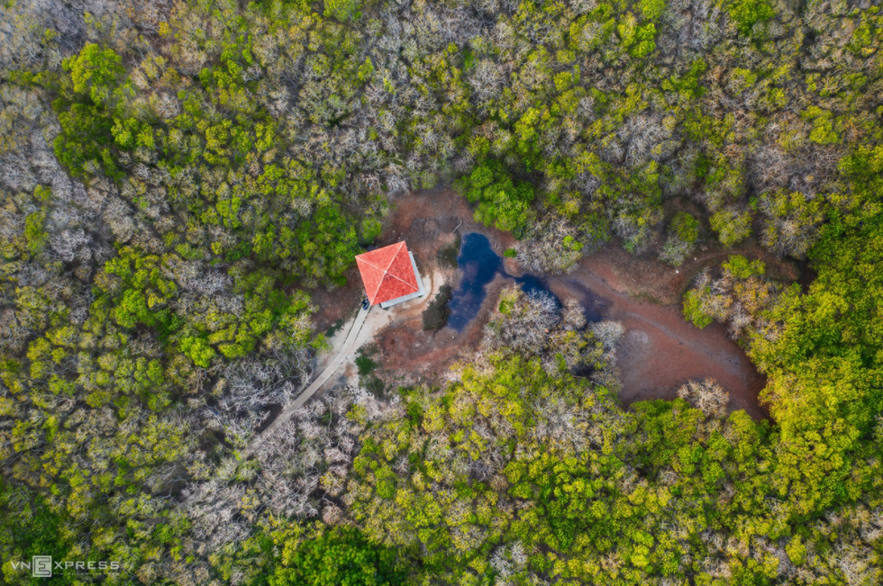 ru cha mangrove forest in the changing moments of seasons
