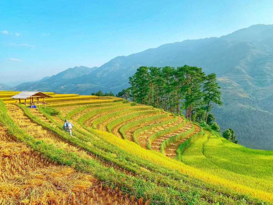 4 famous sites to take check-in photos of the Northeast harvest season
