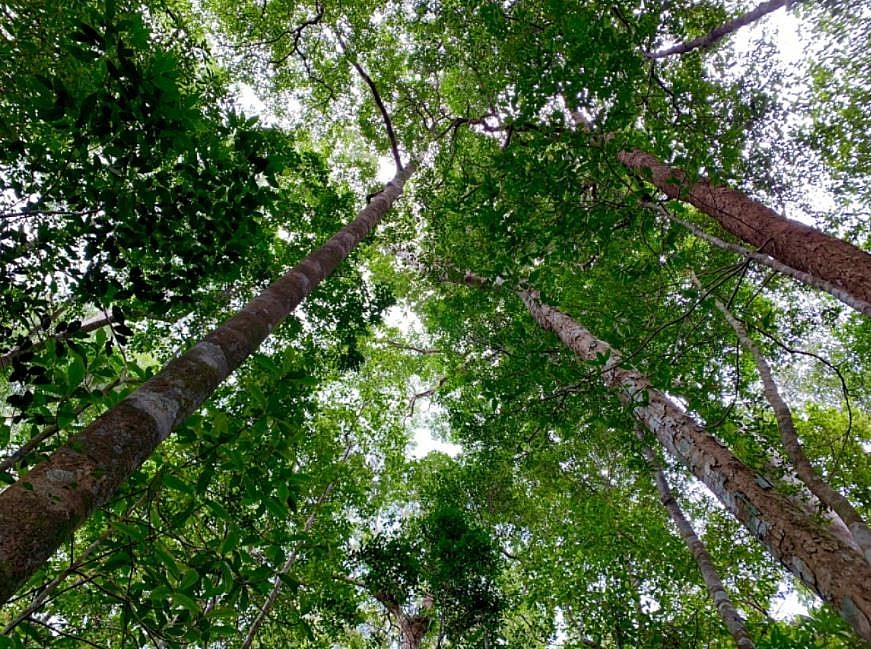 Pristine World Biosphere Reserves Recognized by UNESCO