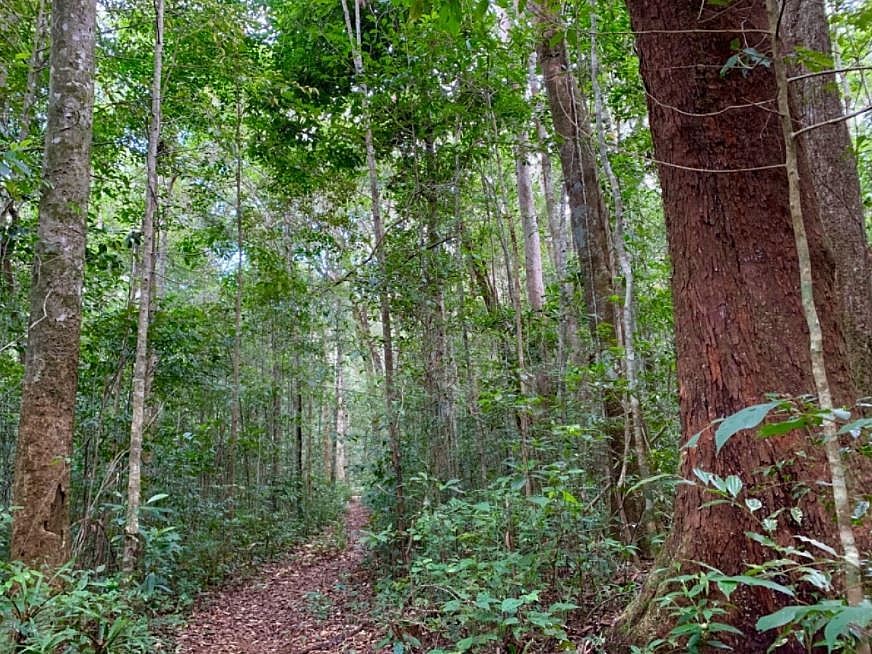 Pristine World Biosphere Reserves Recognized by UNESCO