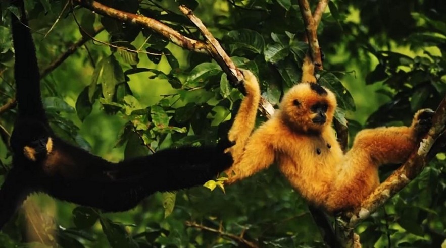 Pristine World Biosphere Reserves Recognized by UNESCO