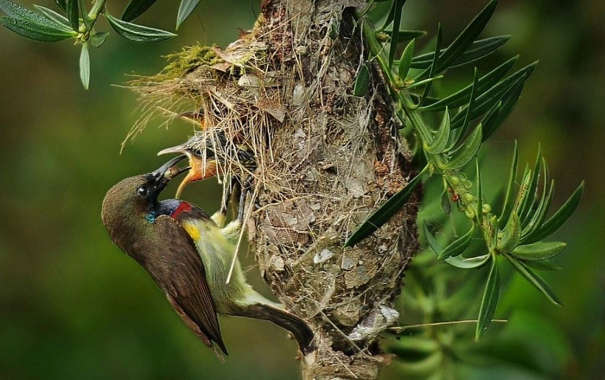 Pristine World Biosphere Reserves Recognized by UNESCO