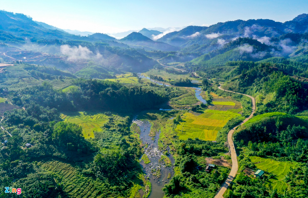 admiring the white clouds in the harvest season of east truong son