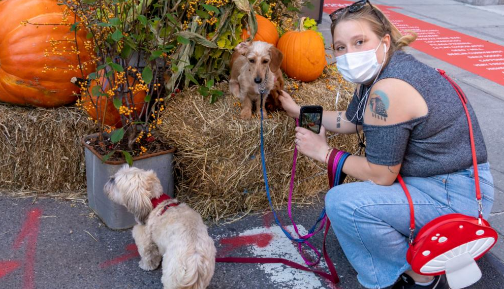 Halloween amid pandemic crisis: How countries deal?