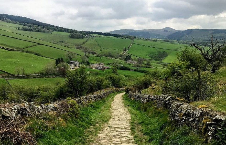 Top 10 Best UK's Country Parks to Visit with Children