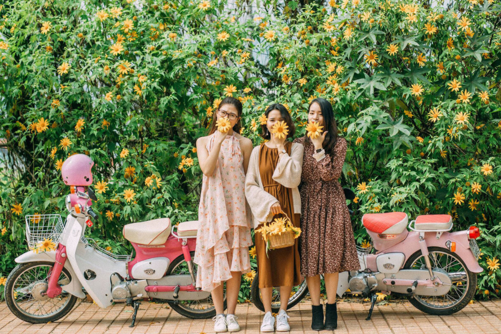 flocking to da lat in the season of wild sunflowers