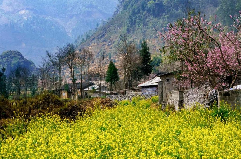 four stunning roads for a winter trip in vietnam