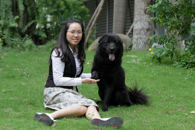 vietnamese dog that looks like a tibetan clam