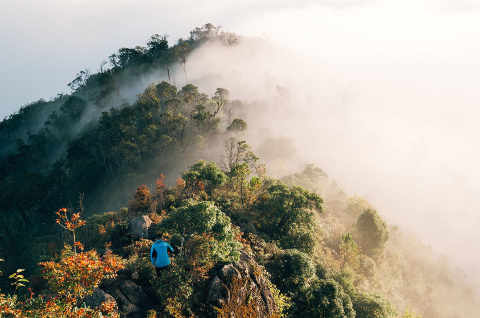 Vietnam's Northwest in the season of golden maple leaves