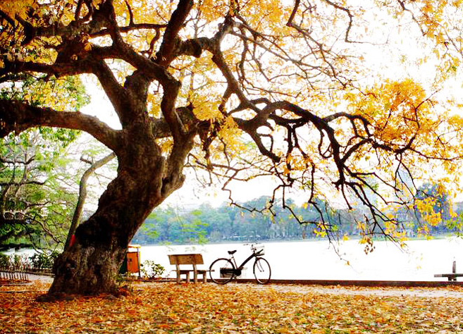 Vietnam spectacularly won the "Tourism Oscar" awards