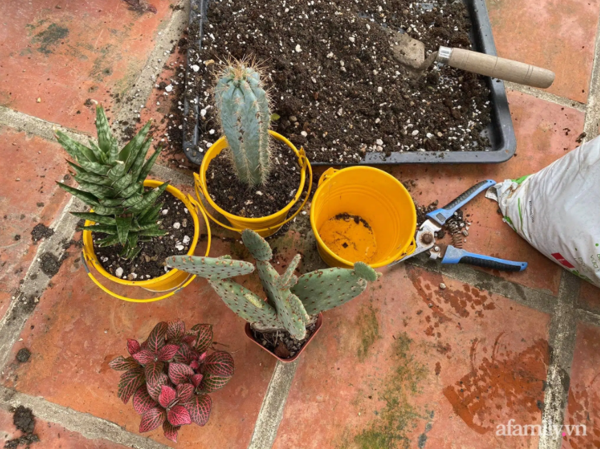 undefined 2605 capture9