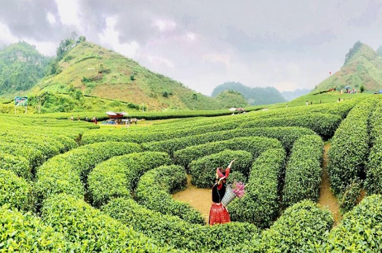not to miss destinations for your new year holiday
