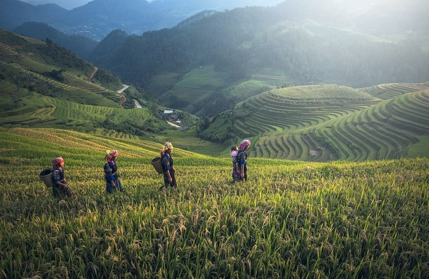 Vietnam Remain as an Attractive Destination for International Visitors