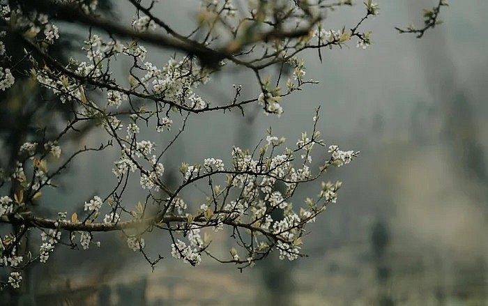 H'mong Ethnic Culture identity Kept in Pa Vi Ha Village