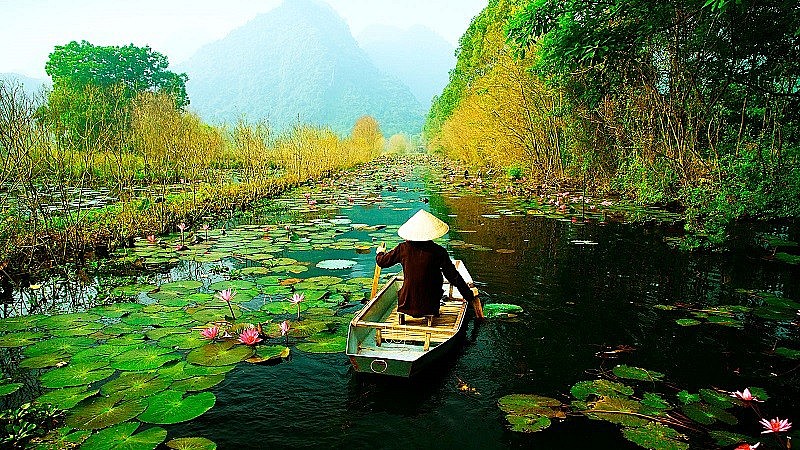 Vietnam, ROK share experience in safe tourism recovery post COVID-19