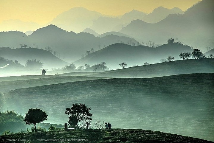 Mesmerizing Moc Chau Tea Hill from Above