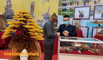 'Vietnamese Cultural Heritage Space' Highlights Ancient Values During New Normal