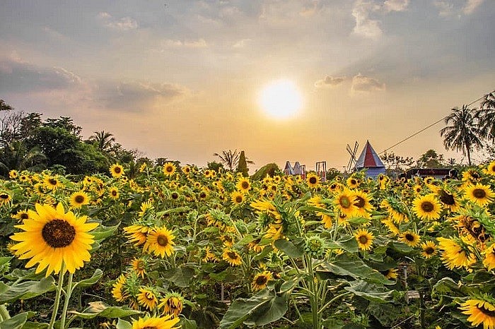Hotspots in Ho Chi Minh City for 2022 New Year Eve Hotspots in Ho Chi Minh City for 2022 New Year Eve