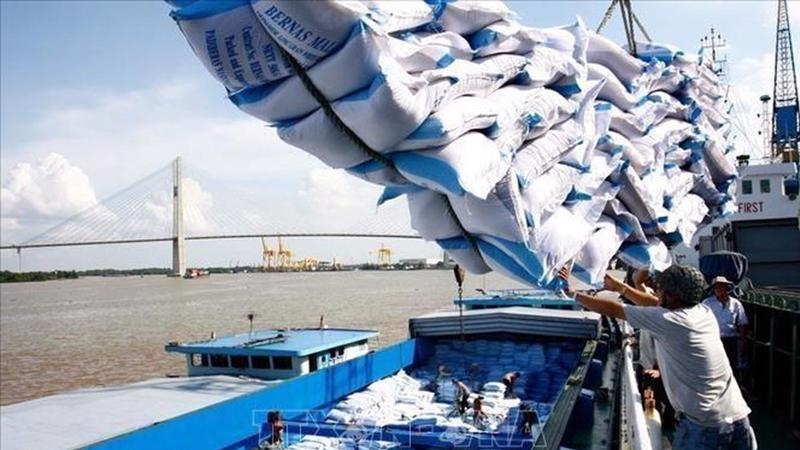 Experts: Vietnam’s economy continues to be hit by Covid-19