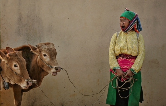 Photographer Wins Dozens of International Prizes For Photos of Vietnam's Highlands