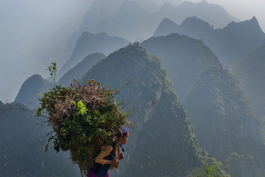Photo courtesy of Huu Thong