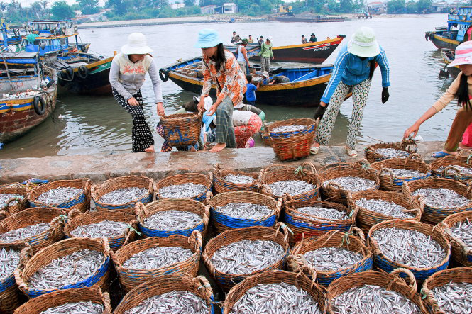 Phu Quoc fish sauce making seeks UNESCO recognition as world intangible cultural heritage