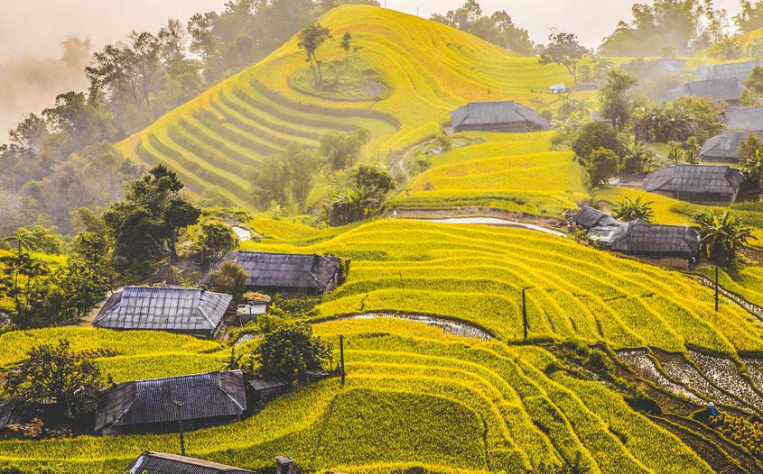 A must-try delicacy in Ha Giang province