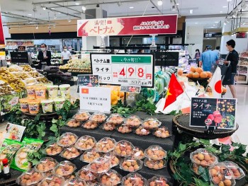 Vietnam’s Agricultural Export Strengthen Despite Covid-19 Outbreaks
