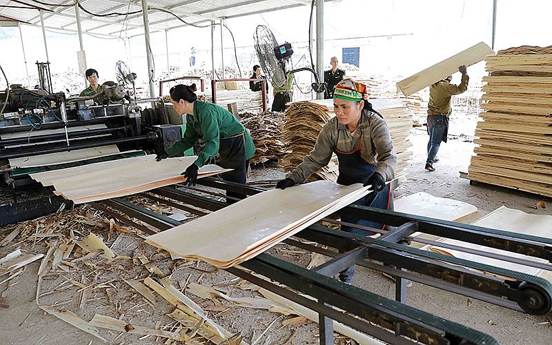 Vietnamese Furniture Predicted to Succeed on French Market