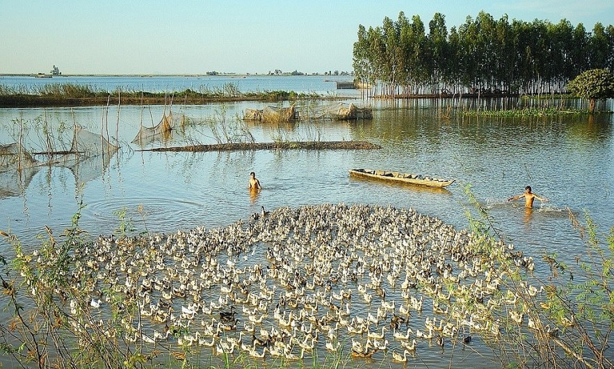 The Flood Season in An Giang Province