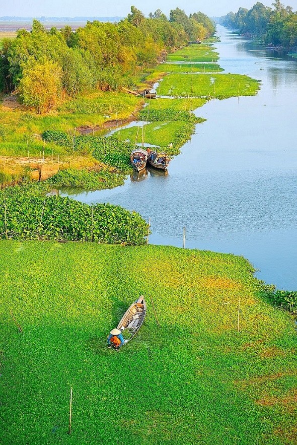 The Flood Season in An Giang Province