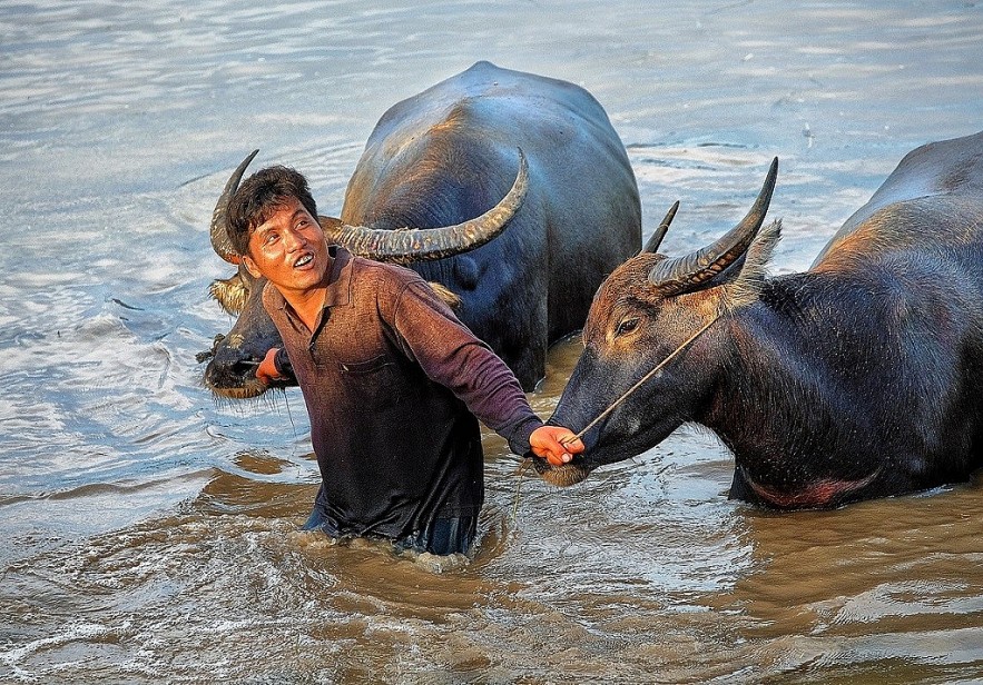 The Flood Season in An Giang Province