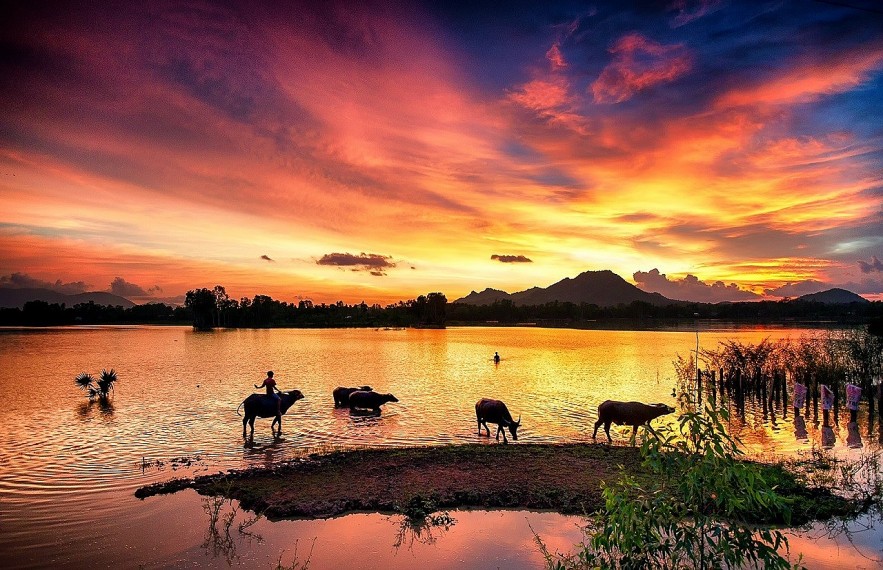 The Flood Season in An Giang Province