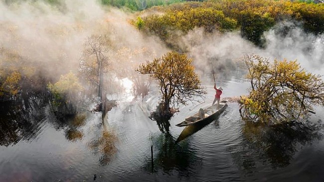 Beautiful Seasonal Changes in Hue's Mangrove Forest