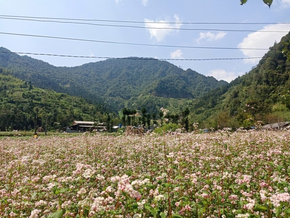 The Beauty of Dong Van Karst Plateau The Beauty of Dong Van Karst Plateau