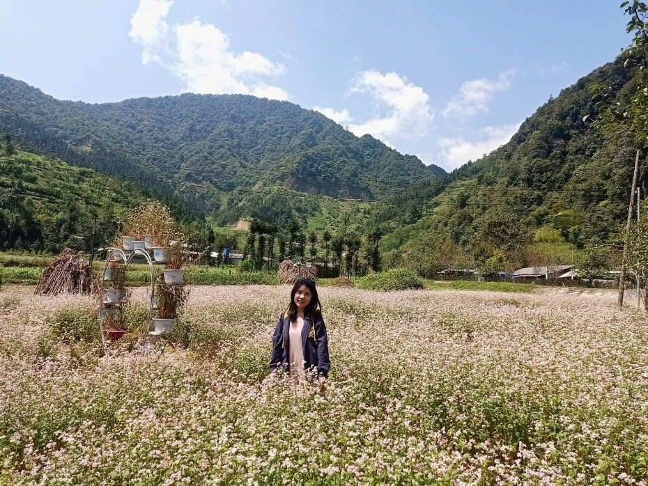 The Beauty of Dong Van Karst Plateau The Beauty of Dong Van Karst Plateau