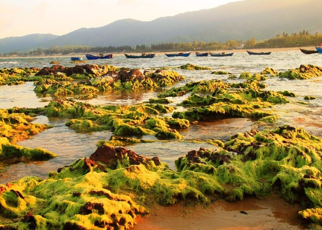 Discover the Pristine Beauty of Lo Dieu Cliff