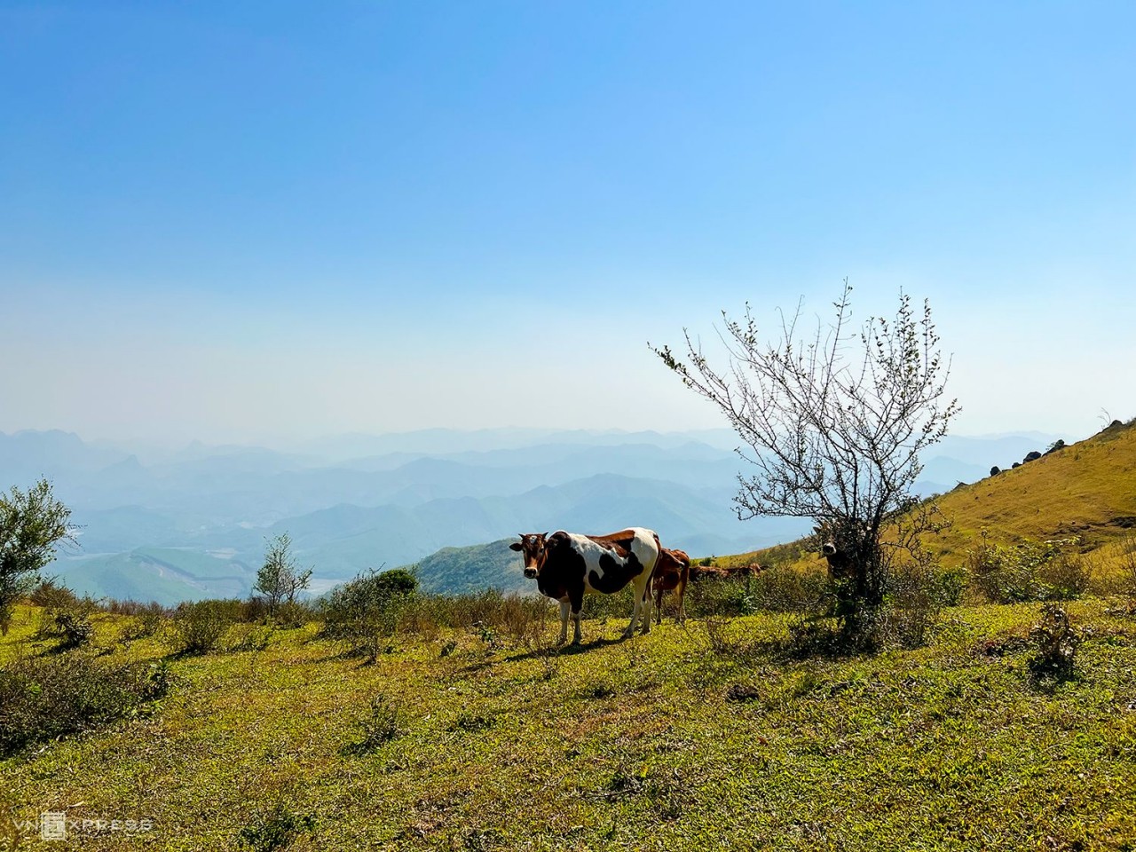Climbing Mount Dai Bang in Kim Boi Hot Spring