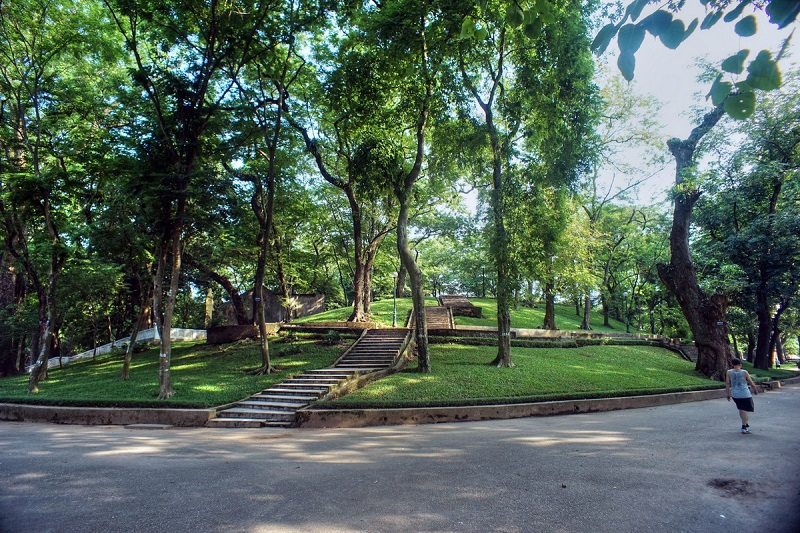 4646 vuon bach thao ha noi 04