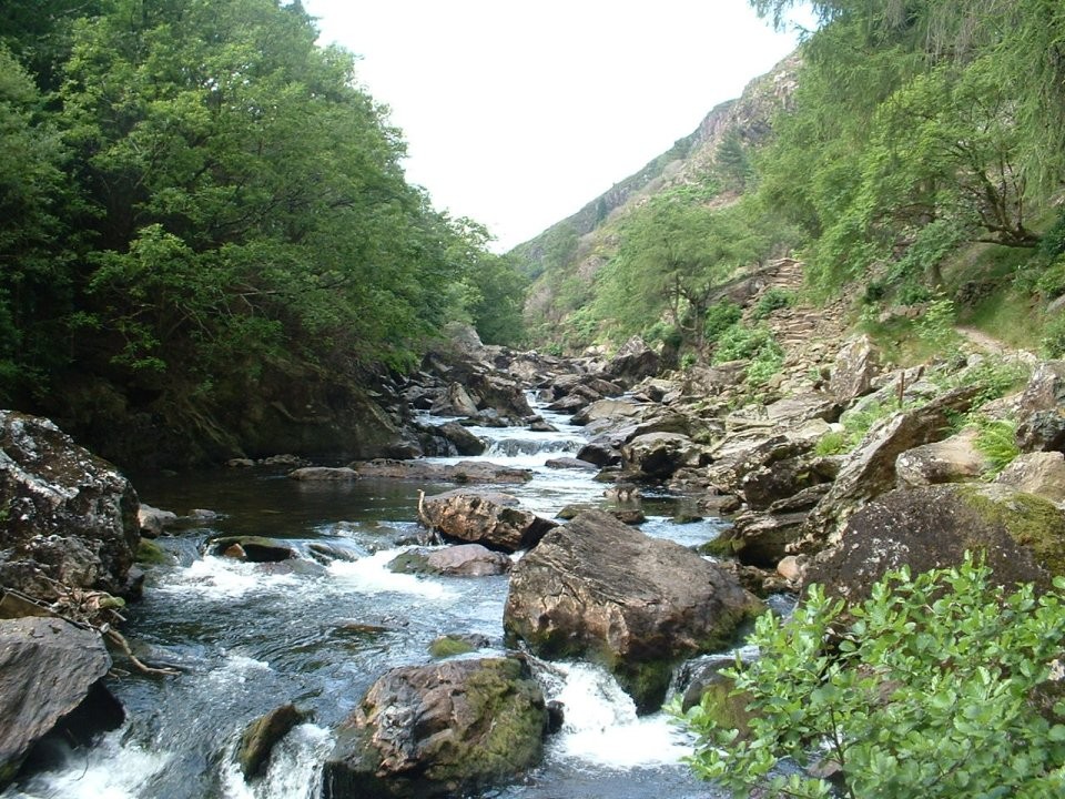 Photo: Wikipedia 