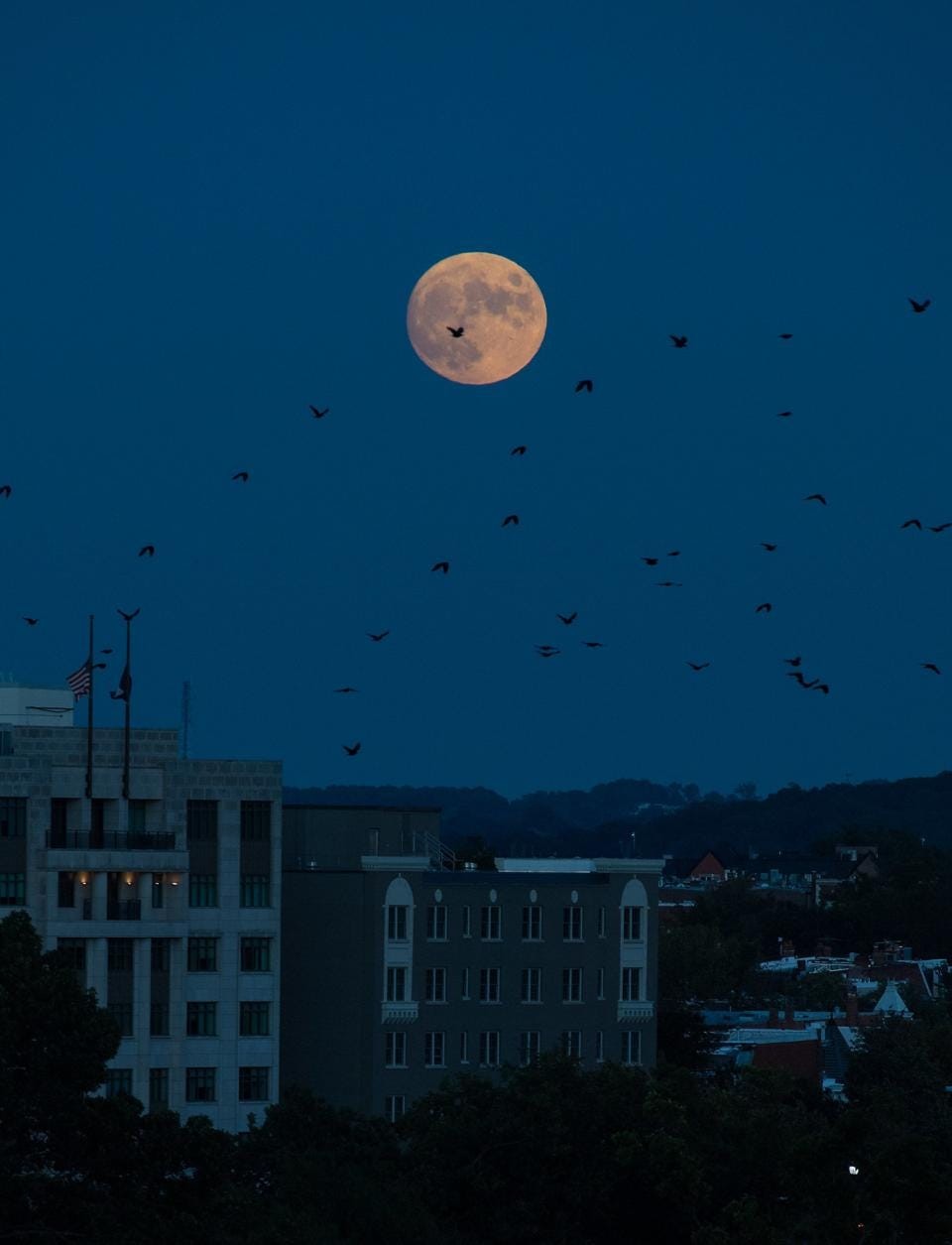 Wolf Moon - The First Full Moon of 2022 Shining Up The Sky