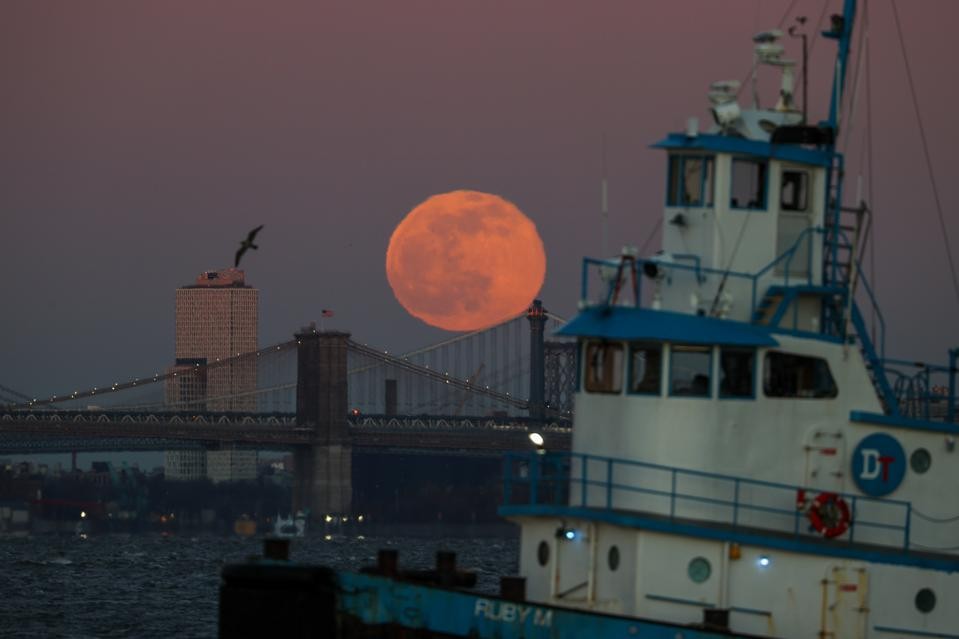 Wolf Moon - The First Full Moon of 2022 Shining Up The Sky