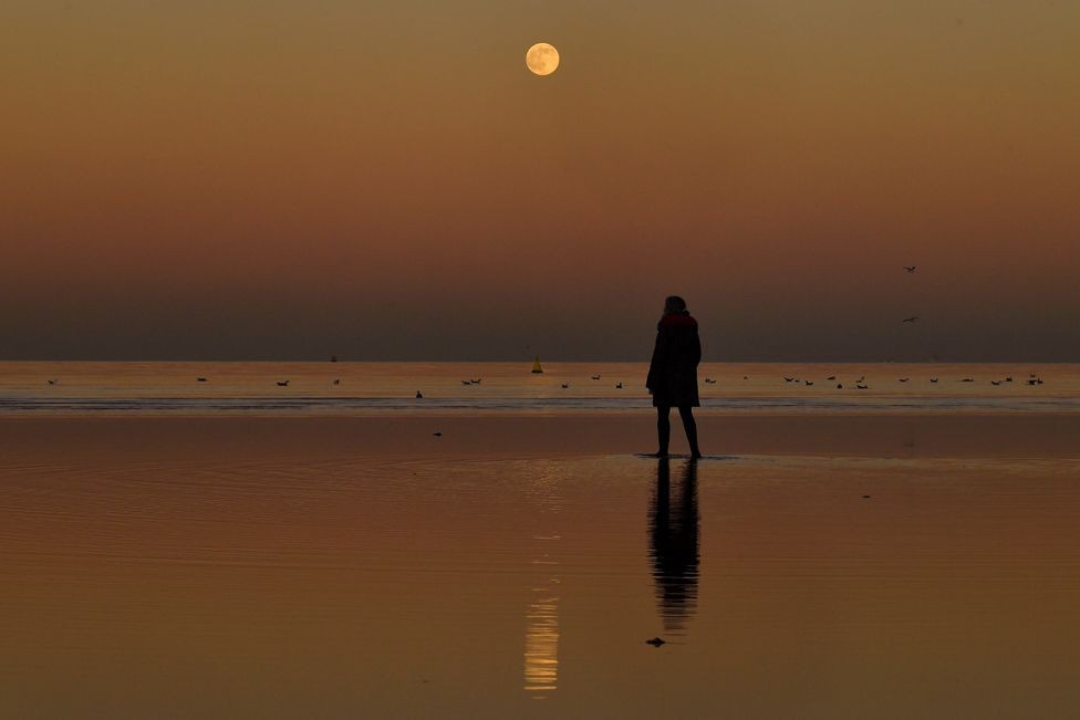 Wolf Moon - The First Full Moon of 2022 Shining Up The Sky
