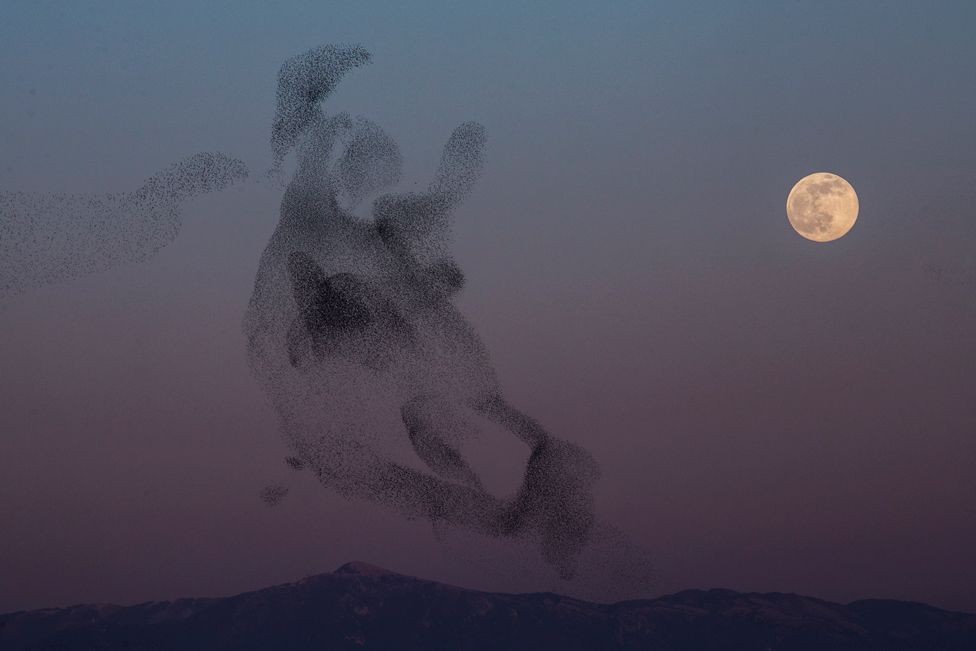 Wolf Moon - The First Full Moon of 2022 Shining Up The Sky