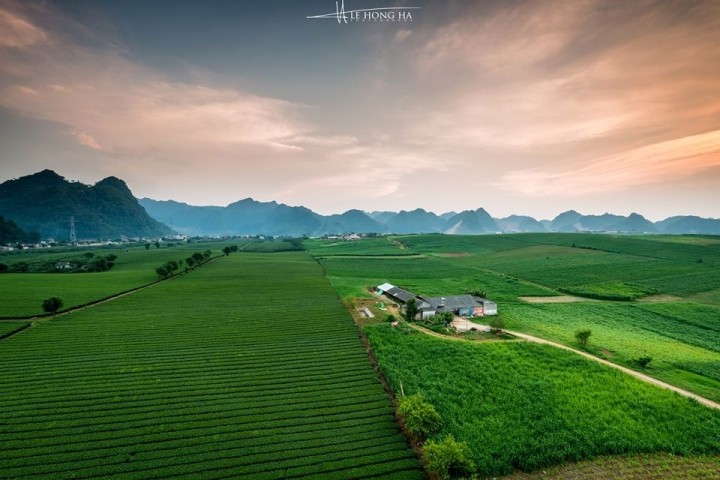 Photo: Le Hong Ha 