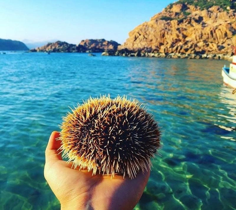 Hai Giang Island has the best and most beautiful coral reefs. Photo: Nguoi Dua Tin 