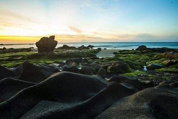 Stunning Mossy Beaches of Central Vietnam