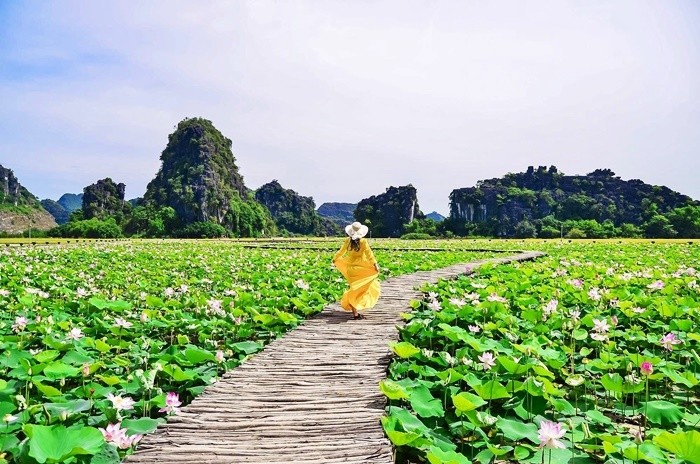 Photo: Vietnamnet 