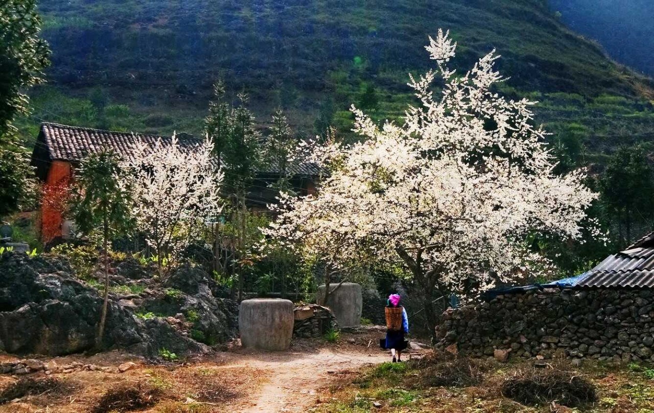 Photo: Khu vui choi